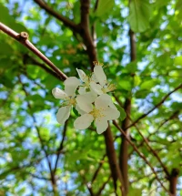 ??
搜索四月的芬芳
給內心充實些美好和希望
在平凡的生活中找些有趣
事中覺察
盼以喜樂
必有所獲配圖