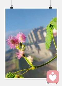 ?未經省察的人生不值一提
?不察覺就還是一味簡單的重復
?有意識地做出改變
?通過覺察改變選擇尺度
?才能過自己想要的生活配圖