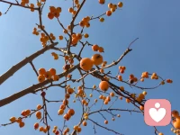 傾聽小記：
媽媽潛意識的想法，會無形中影響孩子。
現實中媽媽無微不至地照顧孩子，來體現自己的價值，
潛意識里是離不開孩子。
孩子是不會背叛媽媽的，所以她會用與之對應的行為來支持媽媽。
所以孩子出現某種情況，媽媽要先檢視自己的內在，看到自己潛意識的意圖，而不是先試圖解決孩子的問題。配圖