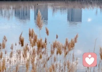 傾聽小記：
控制自己憤怒的情緒，是一件非常難的事，有幾個(gè)方法不妨一試：
1、分析你的行動(dòng)可能帶來的嚴(yán)重后果。
2、無論如何，你都要按照符合你最大利益的決定行動(dòng)。
3、在發(fā)怒的時(shí)候,學(xué)會(huì)轉(zhuǎn)移自己的怒氣，數(shù)數(shù)或者離開讓你發(fā)怒的地方。
4、盡量在生氣時(shí)不要大喊大叫，不要握緊拳頭，因?yàn)楫?dāng)你這樣做時(shí)，你的潛意識(shí)可能會(huì)經(jīng)你的大腦將你的拳頭揮出去，可以靜坐下來降低音調(diào)，情緒會(huì)逐漸穩(wěn)定。配圖