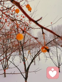 倾听小记：
父母觉察到失控感，就会感到焦虑，所以少想一些不可控的事情，比如不确定的未来。
集中精力做好当下的事情，找到孩子的优点而且擅长的东西。
心理学中有个定律叫“墨菲定律”，害怕发生的事情往往就会可能发生，与其这样，倒不如用中国的一句老话“儿孙自有儿孙福”来劝慰自己。
所以设置适度的期望是很重要的。相信天生我才必有用，保持积极的期望和信任，因材制宜，不以自己的期望强加于孩子。
焦虑没有用，但爱有用，以爱为本，对抗焦虑，才能助力孩子先成人，再成材！配图