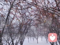 倾听小记：
每一件事的发生，都是你成长的机会点，此时此刻，你所拥有的人事物都是为你而来的，而且都符合你的最佳利益，每个此刻，你也都在创造新的自我。
所以，成长不是短时间内就能看到好的结果，而是在生活一点一滴的发生中汲取，总结，和反省。
当你经历过一件事情，有感受了，无论是后悔的，还是担心的。你会思考这件事情给你带来的利弊，你会有所觉察，就已经在成长了。配图