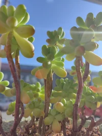 傾聽小記：
只有當你沒有緊緊抓住任何東西時，
你才能騰出雙手。尊重他人的順其自然。
做好陪伴，讓他人找到自我學習的方法，
邁出一小步，才是解決之法。配圖