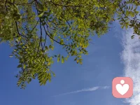 做加法會增加知識
做減法會增長智慧配圖