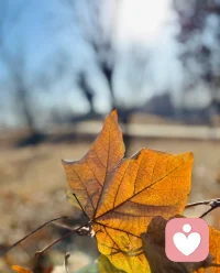 快的人知道自己要什么，
而慢的人知道自己正在發(fā)生什么。配圖