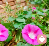 如果你沒有足夠的智慧，
你看到的每一個人，
僅代表對他的誤解。配圖