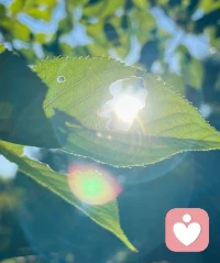 認知決定外在世界的邊界，
覺知決定內在世界的境界。
認知決定選擇，
覺知決定成長。配圖