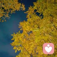 別人對你好，
是別人在修行，
你對別人好，
是你在修行。配圖