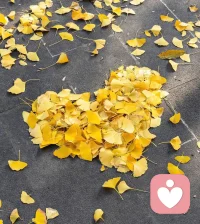 如果你很有愛，
可是不跟人連接，
愛有何用？
如果你跟別人連接，
可是沒有愛，
連接有何用？
愛?連接＝滋養配圖