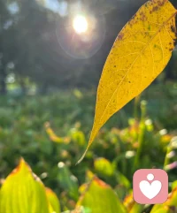 眼見，不一定為實(shí)，
想法，不等于真相，
用心去活，有時(shí)會(huì)很辛苦，
但確是真實(shí)的，
用頭腦去活，貌似安全，不痛不癢，
實(shí)則是虛的。配圖