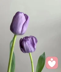 拒絕情緒，身心必定分離，
接納自己的所有面相，
身心才能和諧，
你逃不過的
只有自己這一關，
回頭便是歸心處。配圖