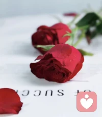 憤怒，恐懼的最底層都是對愛的渴求配圖