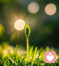 凡事有因果，
作用力和反作用力一定是对等的，
只是不知道啥时候返回来罢了。配图