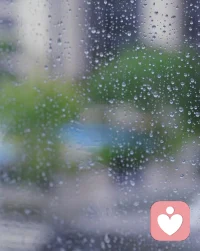 順應(yīng)變化，才可以過上不費(fèi)力的生活。配圖