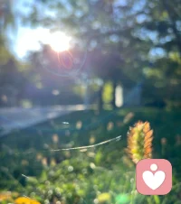 踐行，強于無休止的思辨。配圖