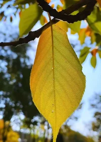 我們都在試圖找安全感，
但是并沒有實存不變的安全感，
因為事情分分鐘都在變化。配圖