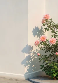 幸福不在别处
当下即是全部︎
​充满爱的日子
​祝福有爱的你们❤️配图