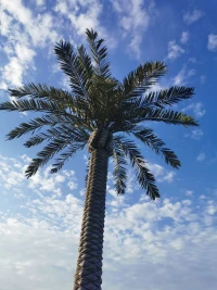 《用生命影響生命》(泰戈爾)把自己活成一道光，因為你不知道，誰會借著你的光，走出了黑暗。請保持心中的善良，因為你不知道，誰會借著你的善良，走出了絕望。請保持你心中的信仰因為你不知道，誰會借著你的信仰，走出了迷茫！