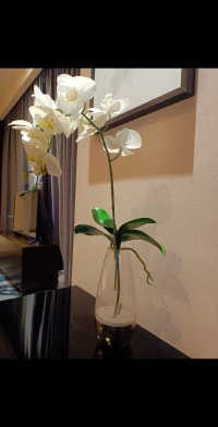 心小了，所有的小事就大了。
心大了，所有的大事都小了。