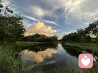 你是不是在做一件事情的时候，都会对自己要求比较高。
并且希望能够快点出成果。
而这样的高要求和急于求成反而会增加我们的压力，导致我们对这件事情的失控感。

我们要允许自己出错，允许自己慢下来。什么事情都不要着急。
而去对过程进行感受和领悟，放下对未来的担忧和焦虑。那么结果一定不会差太多。配图