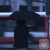 夏木秋