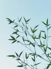 当一个人被他人看见，理解，认可，欣赏，接纳，这会给人内心注入很多的力量和能量。配图