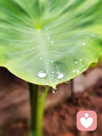 尋一個心靜處，療愈傷痛，我在這里??配圖