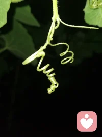 生活里我們有時候追求極端就會比較痛苦，極端的好與壞，就會產生截然不同的結果，無論是極端的好，還是極端的壞，都會影響我們正常的生活狀態，所以我們中國也講究中庸之道，凡事差不多，就是比較舒服的狀態。衣服不干凈，但我不追求那么干凈，我犧牲掉對極度干凈的追求，我獲得了自己的舒服和自由，這個就是一種平衡，也是一種內心的取舍。
天氣都是陰晴不定，月亮也是陰晴圓缺，更何況人的悲歡離愁，皆是人生常態，皆是人生體驗。配圖