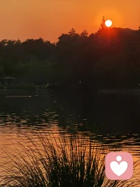 尊重自己當下所有的負性情緒和感受，就是對自己的接納和善待。也許是陰影和黑暗籠罩，死寂一般的恐懼，勇敢的跟它們共處一室，看看它們或感覺它們想表達什么真實的感受，只需多一點點耐心和等待，再多一點時間，內心就會慢慢清明敞亮，重新燃起生命的熱情和希望，充滿挑戰的勇氣配圖