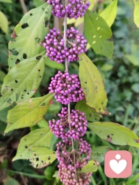 不圓滿才是真實。曾國藩晚年給自己的書房取名求缺齋。配圖