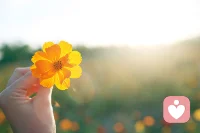 微笑着说一声“你好，早安”，良言一句三冬暖，它能温暖很多人，能温暖整个冬天配图