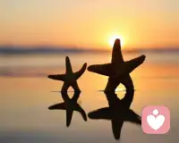 有效交流和溝通：合理的表達自己的情緒、感受和觀點，而不要情緒化的表達、發泄或強制。配圖