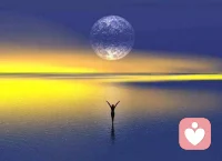 最好的放生是放過自己配圖