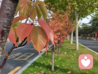 所有的心智發展都有體驗支撐。配圖