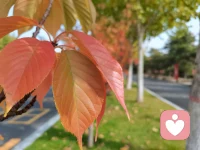 不相信自己的人也不會相信別人。配圖