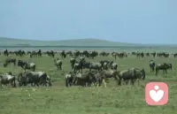 標簽之下，無人自由。配圖