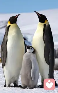 不玩在任何事上把自己的想法強加給孩子，大人和孩子之間是平等的，管得越少孩子會越好。配圖