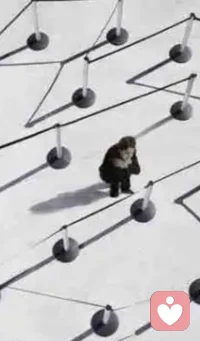 每个人心里或多或少都存在着大大小小的“情结“，“情结”是非常私人性的情感产物，这就像前进路上的“石子”，不可能全部捡干净。若以理性或者客观立场来判断，或许就是一件大不了的事情，但如果正好触碰到了自己的“情结”，则会引起突然地情绪失控。“我不好，我不值得被爱，我不配过幸福的生活，。。。”这些对自我的评价，也是一种“情结”。配图