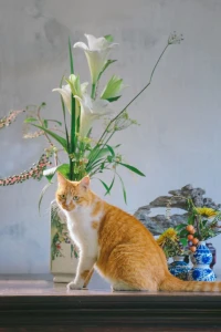 施虐制造忠誠，而愛制造分離。
?
---?曾奇峰
?
???????配圖