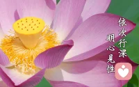 心理學知識再多，作用也是有限的，要想從根本上解脫痛苦，還得從佛學里入手，心理學學到最后你會發現，佛學里很多知識是根和枝，心理學是葉，落到根處，如何解脫痛苦，恐怕只有一條——明心見性。何為性？先念已斷，后念未起，中間那個了了分明的靈知就是性。能看懂此話之人，當下見性，福德無量。配圖