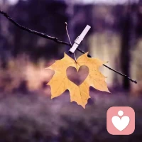 你失去的任何東西，都會以另一種方式回來，傷口是光，進入你內心的地方。早安！配圖