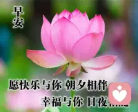 世界的溫柔，是晚來的善意和干凈的你。地球和太陽(yáng)都不是宇宙的中心，你才是。早安！配圖