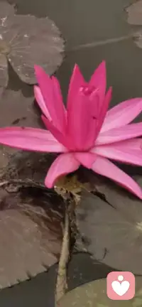 這個世界上，最打動人心的，讓人鼻子一酸止不住流淚的，永遠是至深至愛的親情與愛情。配圖