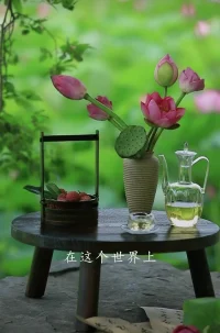 在車遙馬急的人間
?慢慢來是一種誠意
?慢慢遇見 慢慢變好
?慢慢相愛 慢慢變老
?別想太多 好好生活
?日子過著過著就會有答案
?愿日子清凈，抬頭遇見滿眼溫柔
淡泊可以修心，寧靜方能致遠，來日方長，你且不慌不忙，請相信，所遇終會美好，一切終會如你所愿！配圖