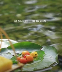 生活總會讓我們遍體鱗傷，但到最后那些受傷的地方，一定會變成我們最強壯的地方。                       —海明威配圖