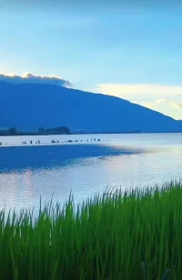 生命中最美的狀態(tài)就是:
人靜，物簡，心安！
歲月淺淺，余生慢慢。
予一半煙火謀生活，
許一半詩意得清歡！配圖