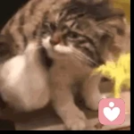 洗個澡的頭像