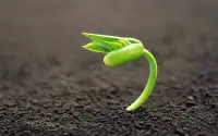 自卑來自于比較和競爭，原因是比較以后的評價。自卑的核心是一種感覺，不如別人的一種感覺。通常分三個層面：自己不行、家庭不行、地域不行。比較的他人只是參考，不要評價，別人就是你前進路上的風景。配圖