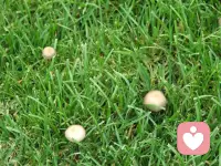 【我們應(yīng)該怎么樣用憤怒表明自己的原則和邊界】
第一、把憤怒情緒跟自己區(qū)分開，不要懼怕它，也不要站在它的對立面，而是把憤怒當(dāng)成一種工具來看待，你要思考的是怎么才能最大化地開發(fā)憤怒情緒的價值。
第二、給你的憤怒設(shè)立規(guī)則，比如，哪些事是不能拿來開玩笑的，哪些事是必須要嚴(yán)肅警告的，哪些事是要通過憤怒來表明它的重要性的。只要你心中有這么一個尺度表，那么憤怒情緒只是你用來表明事情重要程度的一個手段，而不是你單純地發(fā)泄情緒。
所以，情緒能量高的人并不是不發(fā)火，而是他們心中都有這么個尺度表，以便更好的管理憤怒情緒。配圖