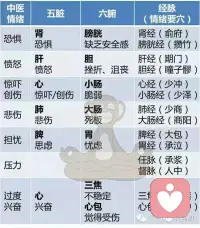 【身心一體】
?七種主要的情緒對我們的能量流動具有最大的影響力。它們分別是：恐懼、憤怒、創傷、悲傷、擔憂、壓力和過度興奮。對應中醫體系所劃分的情緒分別為：恐、怒、驚、悲、思、憂、喜。
以下整理出對應表：[愛心][愛心]配圖